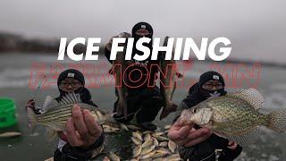 Multispecies day ice fishing at Fairmont, MN (Yellow Bass, Catfish & Crappie)