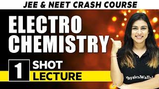 Electro Chemistry - One Shot Lecture | CHAMPIONS - JEE/NEET CRASH COURSE 2022