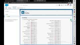 Step 3: API Access for Connected Apps Trailhead | User Authentication Settings Superbadge Unit