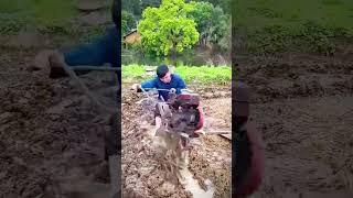 unique technique of using rice field tractor #shorts