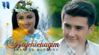 Shahzod Murodov - Boychechagim | Шахзод Муродов - Бойчечагим