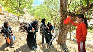 Epic Journey of Mother, Leila, and Amal in the Mountains to Gather Firewood‍‍‍