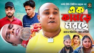 এক কামড়ে মরছে | Sylheti Natok | সিলেটি নাটক | Ek Kamore Morce | Kotai Miah | কটাই মিয়া