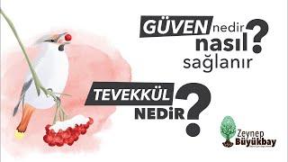 Güven nedir? Güven nasıl sağlanır? Tevekkül nedir? Nasıl tevekküllü olunur? İlgili hadis ve ayetler.