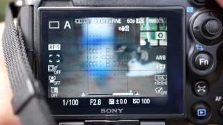 Sony a99 5 AF Range field tests