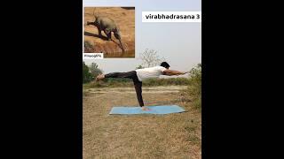 Virbhadrasana (Warrior Pose) Yoga Guide #YogaForBeginners #WarriorPose #Virbhadrasana