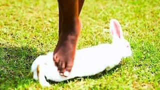 Woman Trampling a Rabbit Barefoot