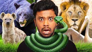 Biriyani Man visits Vandalur Zoo