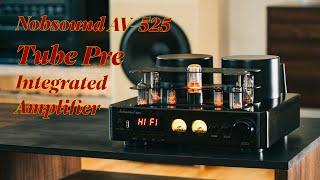 Best Entry Level Tube Amp? Nobsound AV-525 Review