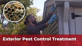 Exterior Pest Control Treatment