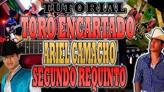 Toro Encartado - Ariel Camacho - SEGUNDO REQUINTO - VERSION EN VIVO