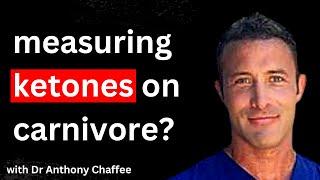 Should You Measure KETONES On A Carnivore Diet? | Anthony Chaffee, MD