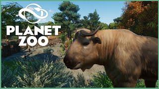 L' HABITAT DEI TAKIN - Emry Zoo-Planet Zoo - ITA #12