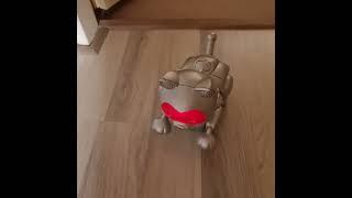 "Happy Robot Cat"