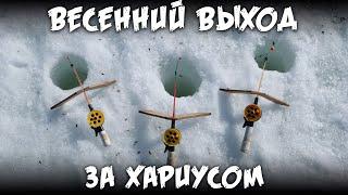 Весенний выход за хариусом / 4К