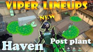 ALL VIPER LINEUPS ON HAVEN SETUPS GUIDE VALORANT 2024