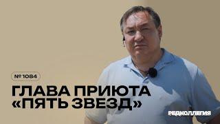 Как они живут, эти собаки? Что сейчас происходит с отловленными животными в приюте