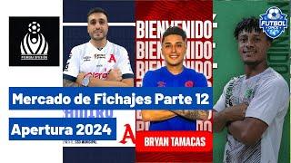 Mercado de fichajes Parte 12 - Apertura 2024