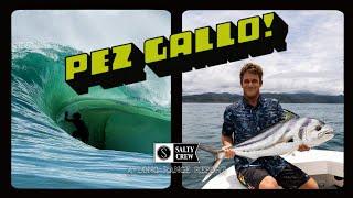 PEZ GALLO! Salty Crew in Costa Rica w/ Matt Meola, Benji Brand, and Kalani Rivero