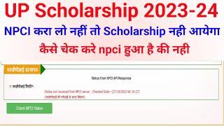 status not received from NPCI server | up scholarship npci problem | status from NPCI API Response