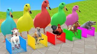 5 Giant Duck Paint Animal Cartoon Tiger, Hippo, Sheep, Cow, Chicken Fountain Crossing - Funny