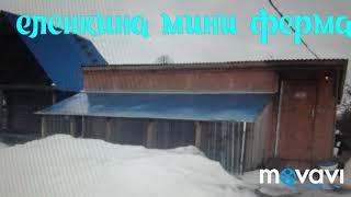 Маленький обзор мини фермы