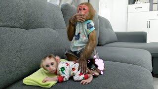 What did Kobi do when he discovered that baby monkey Mon diaper had a bad smell?