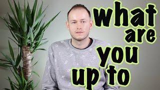 КАК ОТВЕЧАТЬ НА ‘WHAT ARE YOU UP TO’ в английском.