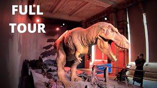 London WALK - Natural History Museum | FULL TOUR