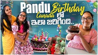 Pandu birthday ila jarigindi | నా childhood repeat అవుతుంది ️| ఈసారి gift ఏంటో తెలుసా ?