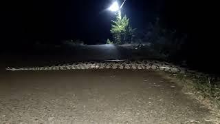 Anaconda at hcu Central University of Hyderabad