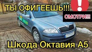 Review Skoda Octavia A5 1.6 mechanics - after 10 years in taxi