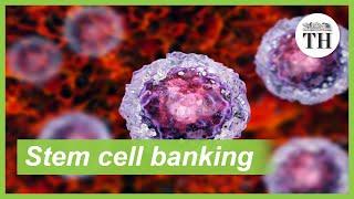 Stem cell banking and its benefits