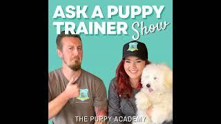 When Do Puppies STOP Chewing and Nipping? | Ep 159