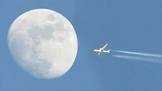 Scoot Airline Crossing Moon And Sun Zoom In Zoom Out