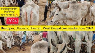 Birsibpur Uluberia, Howrah, West Bengal cow market tour 2024