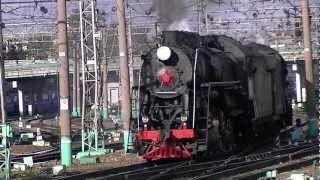 Паровозы Л-2344 и Л-3653 / Steam Locomotives L-2344 and L-3653