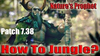 DoTa 2 How To Jungle Nature's Prophet Patch 7.38 iRG