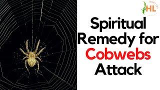 Spiritual Remedy for Cobwebs Attack