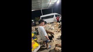 SELEBRASYON SA ANIMAL SHELTER (PANGWALONG MISYON)