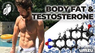 Body Fat Percentage And Testosterone: Does Low Body Fat Help Boost Testosterone?