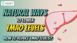 Natural Ways To Reduce TMAO Levels In Your Body | How To Reduce TMAO Levels? | Gut Bacteria