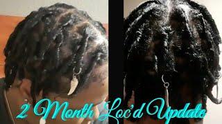 2 Month Loc'd Update Visual & Pics| Loc Journey 2021 #2months #locjourney2021 #locs #babylocs