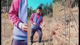 How To Craft Plum's tree//Kumno Ban Krap Ia U Dieng Soh Plom