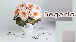 Begonia paper flower/ Бегония из бумаги