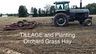 TILLAGE and PLANTING Orchard Grass