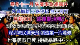 寒冬十一月 失業率急遽飆升，月薪800 這還能活嗎；外資撤離 工廠停招 無工可打；研究生洗菜端盤子， 苦日子還要撐多久；深圳流民滿天飛一片蕭條，全是毒，超市食品沒人買；上海樓市已死 持續暴跌中····