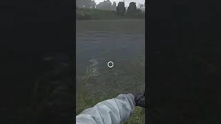 DayZ survival in 10 seconds #shorts