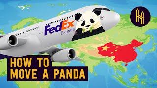 Why China Took the US’ Pandas
