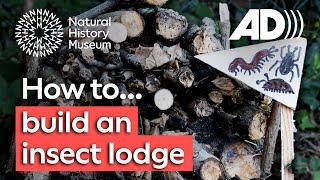 How to build a log pile for insects and other wildlife to make a home (Audio Described)